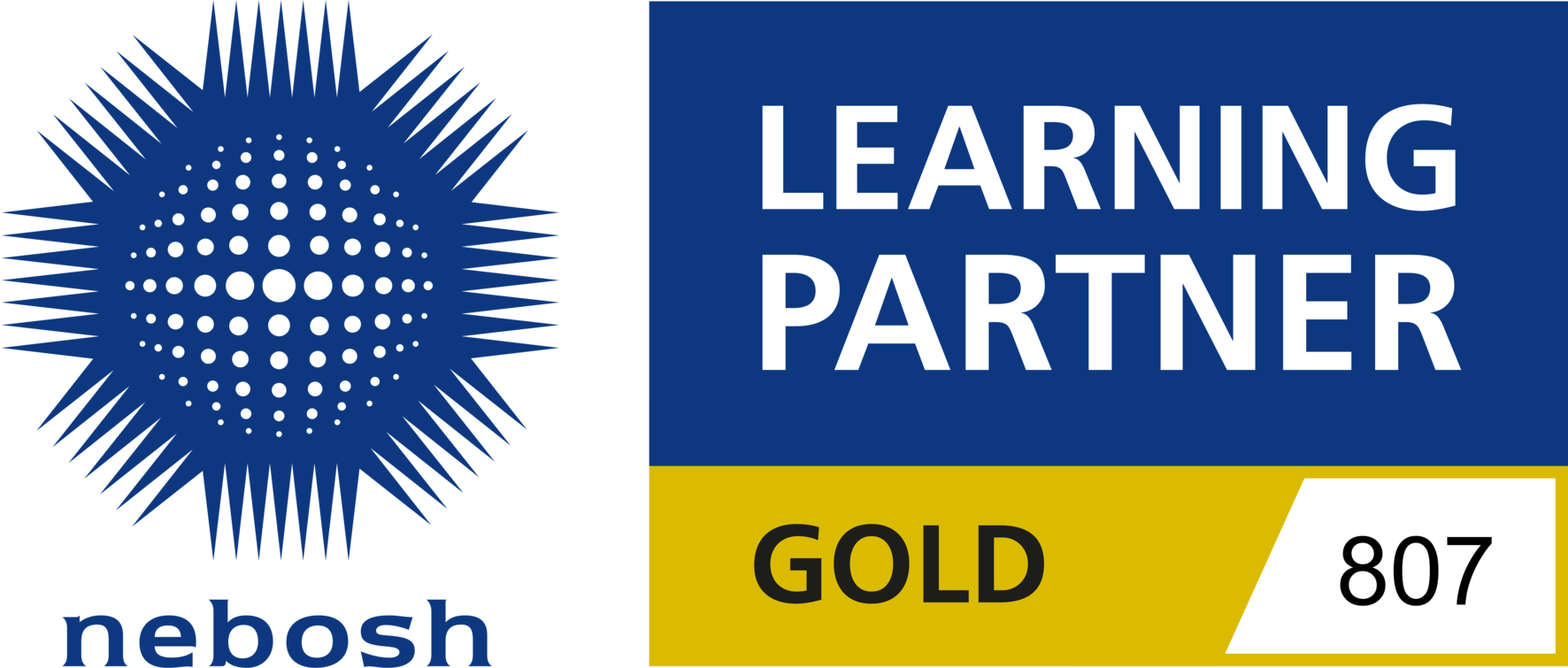 NEBOSH Gold Learning Partner 807